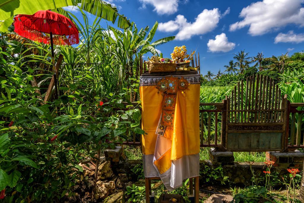 Taman Nauli Boutique Rooms Canggu Екстериор снимка