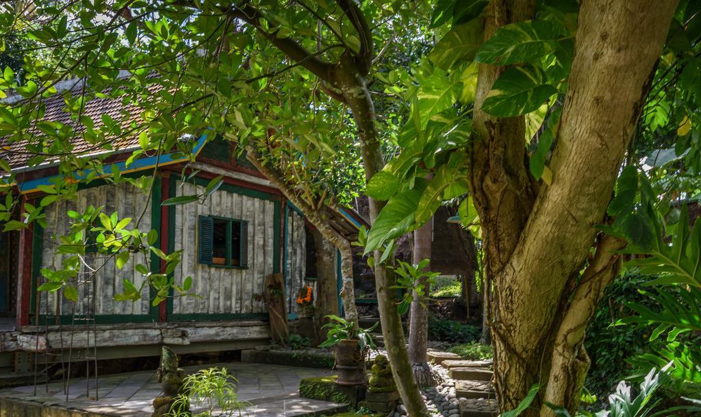 Taman Nauli Boutique Rooms Canggu Екстериор снимка